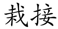 栽接的解释