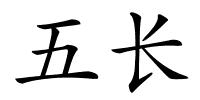 五长的解释