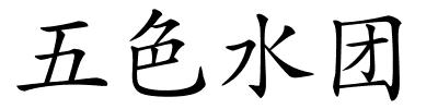 五色水团的解释