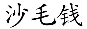 沙毛钱的解释