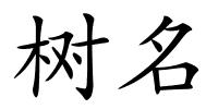树名的解释