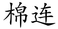 棉连的解释