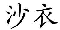 沙衣的解释