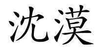 沈漠的解释
