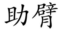 助臂的解释