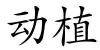 动植的解释