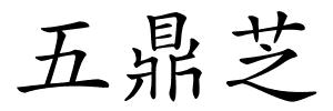 五鼎芝的解释
