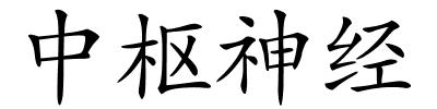 中枢神经的解释