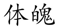 体魄的解释