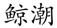鲸潮的解释