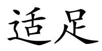 适足的解释
