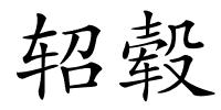 轺毂的解释