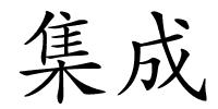 集成的解释