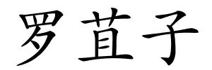 罗苴子的解释