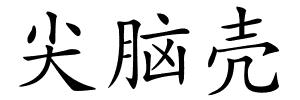 尖脑壳的解释