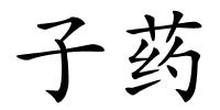 子药的解释