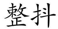 整抖的解释