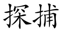 探捕的解释