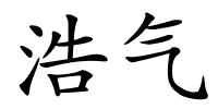浩气的解释