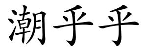 潮乎乎的解释