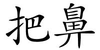 把鼻的解释