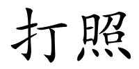 打照的解释