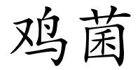 鸡菌的解释