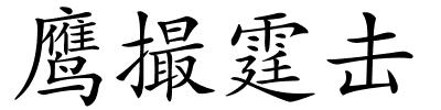 鹰撮霆击的解释