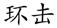 环击的解释