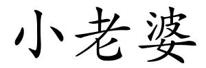 小老婆的解释