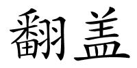 翻盖的解释