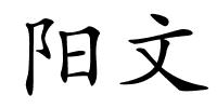 阳文的解释