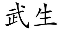 武生的解释