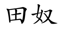 田奴的解释
