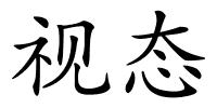 视态的解释