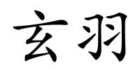 玄羽的解释