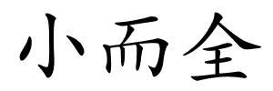 小而全的解释