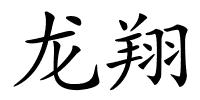 龙翔的解释