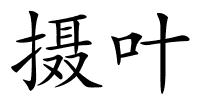 摄叶的解释