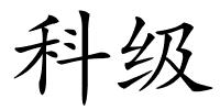 科级的解释