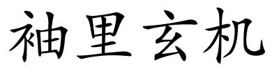袖里玄机的解释