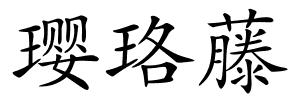 璎珞藤的解释