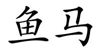 鱼马的解释