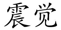 震觉的解释
