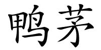 鸭茅的解释