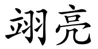 翊亮的解释