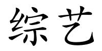 综艺的解释