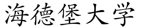 海德堡大学的解释