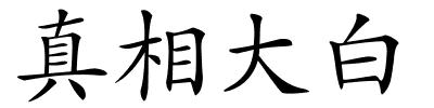 真相大白的解释
