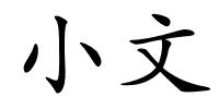小文的解释